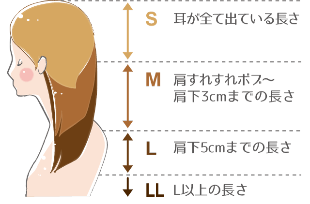 サイズ表